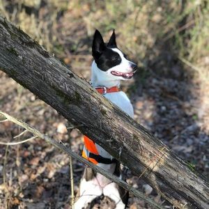 Meet your Posher, Cody